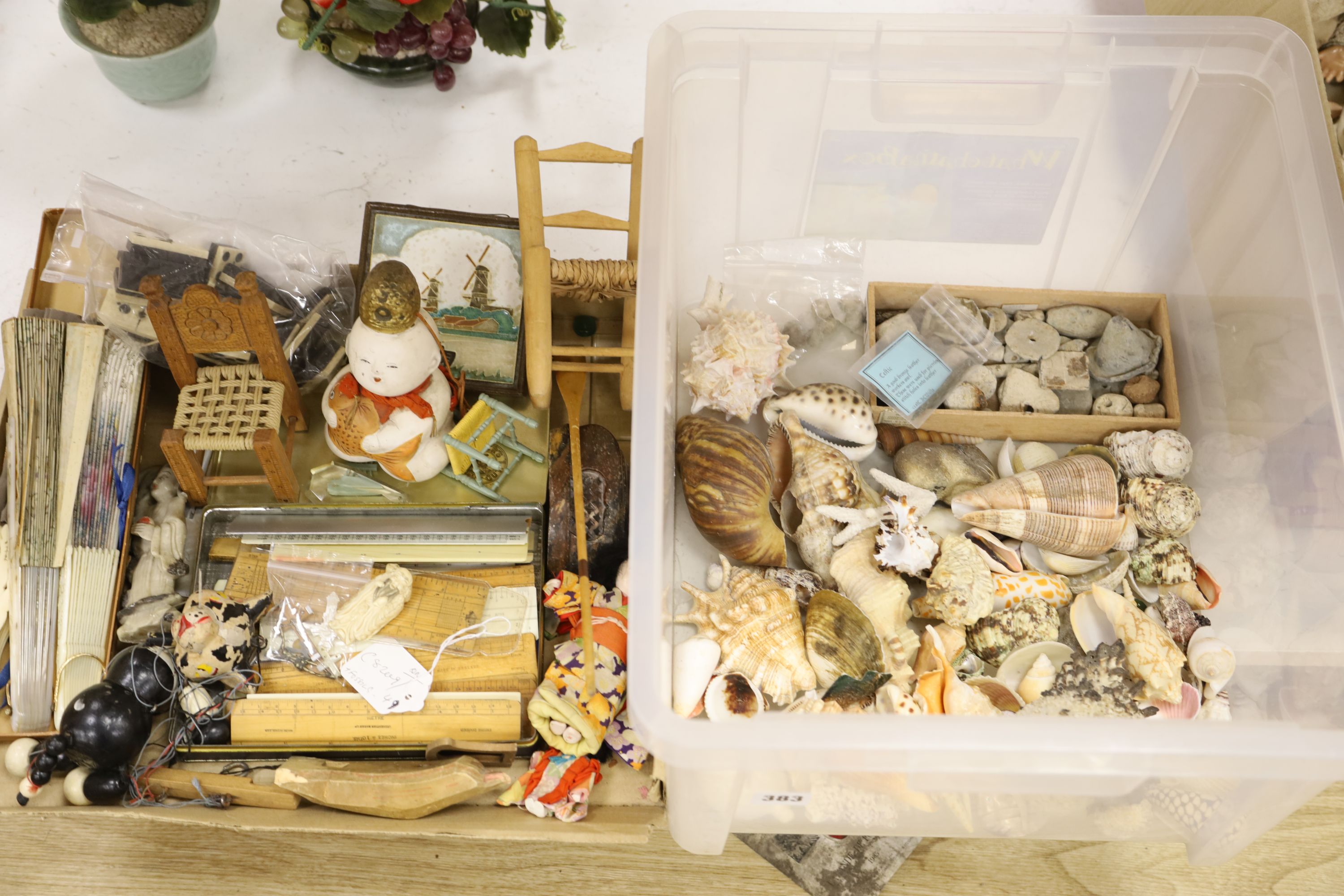 A collection of minerals, fossils and shells, together with a collection of rulers, fans and miscellaneous items